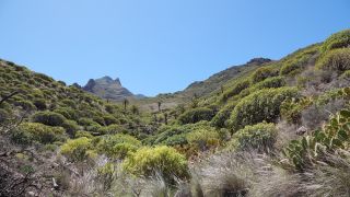 2022-04-GranCan-Agaete-Trekking_view-PM-NN-073.JPG